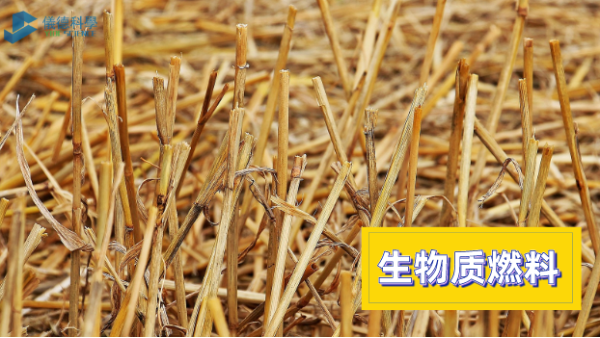 實驗電熱板HT-300：生物質燃燒中的砷消解測定