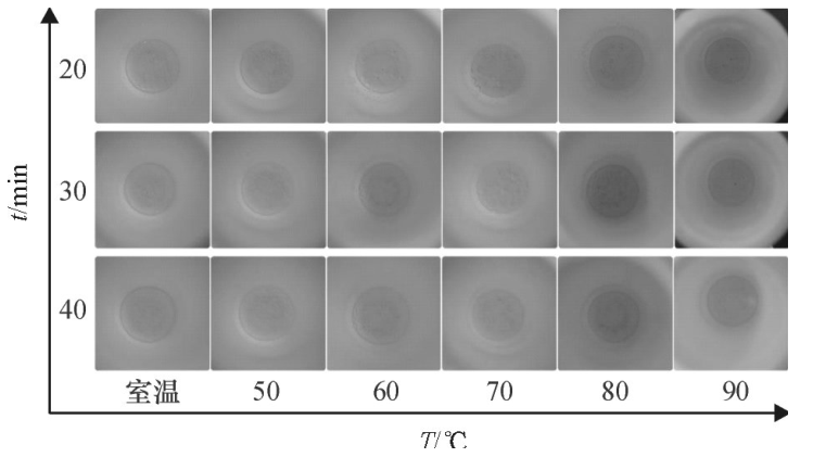 圖6不同密閉消解時間、不同水浴溫度的消解效果