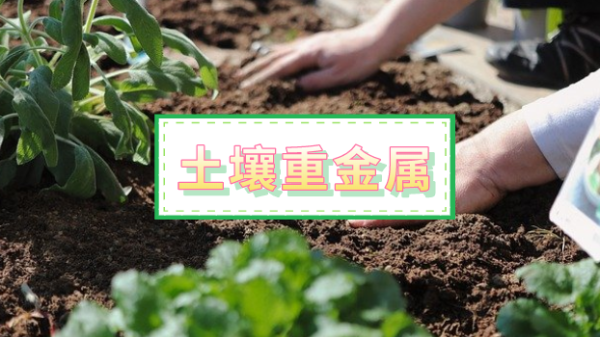 全自動消解儀應(yīng)用丨改進方法比較土壤重金屬元素測定